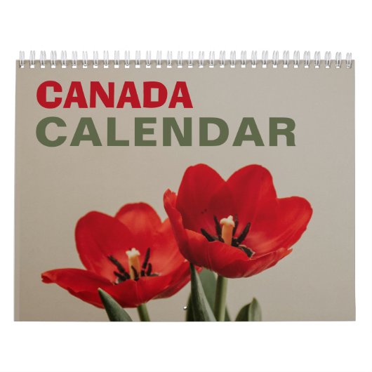 Canada Natuur Muur Kalender 2026 Canadees Vakantie (Hoes)