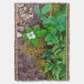 Canada, New Brunswick, ,  2 Deken (Voorkant Verticaal)