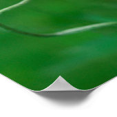 Canada, New Brunswick, 2 Poster (Hoek)