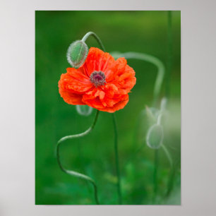 Canada, New Brunswick, ,  2 Poster
