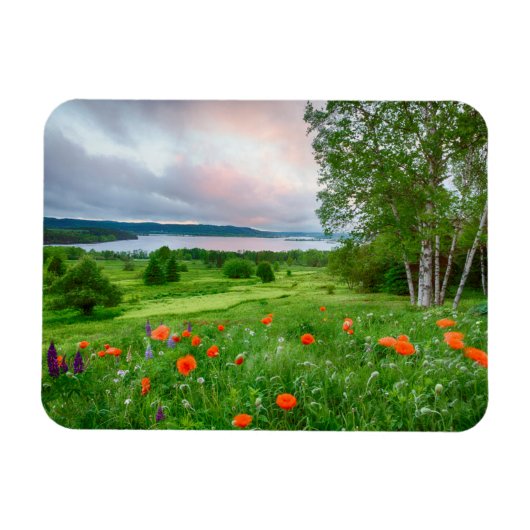 Canada, New Brunswick, , 3 Magneet (Horizontaal)