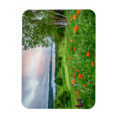 Canada, New Brunswick, , 3 Magneet (Verticaal)