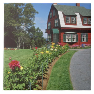 Canada, New Brunswick, Campobello Island. 2 Tegeltje