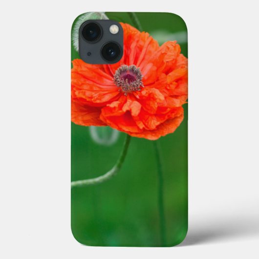 Canada, New Brunswick, , Case-Mate iPhone Case (Achterkant)