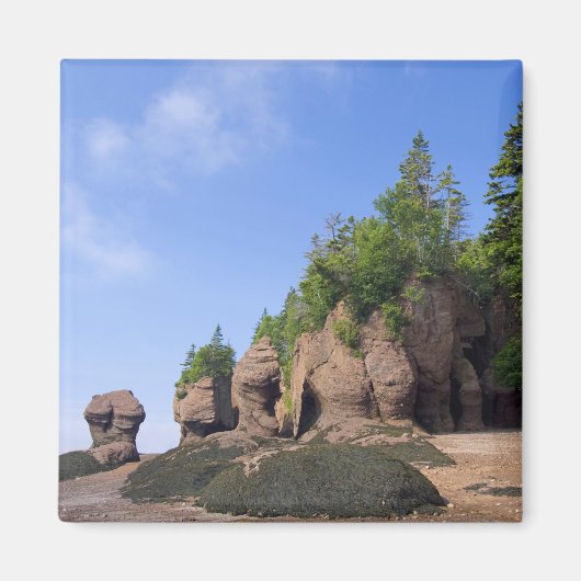 Canada, New Brunswick, Hopewell Cape, Bay of Magneet (Voorkant)