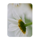 Canada, New Brunswick, Magneet (Verticaal)