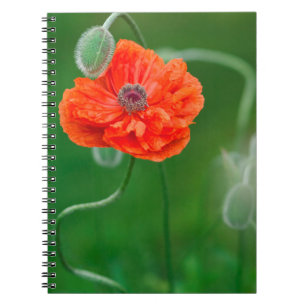 Canada, New Brunswick, , Notitieboek