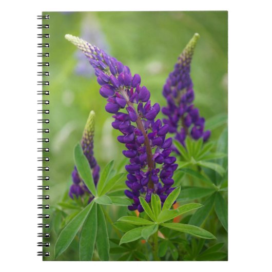Canada, New Brunswick, . Notitieboek (Voorkant)