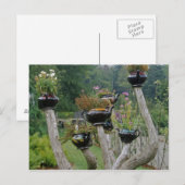 Canada, New Brunswick, St Andrews. Theepotten Briefkaart (Voorkant / Achterkant)