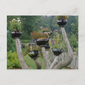 Canada, New Brunswick, St Andrews. Theepotten Briefkaart (Voorkant)