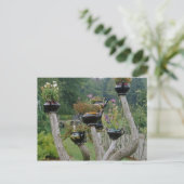 Canada, New Brunswick, St Andrews. Theepotten Briefkaart (Staand voorkant)