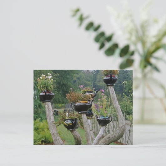 Canada, New Brunswick, St Andrews. Theepotten Briefkaart (Staand voorkant)