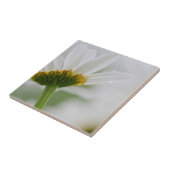 Canada, New Brunswick, Tegeltje (Zijkant)