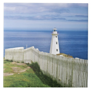 Canada, Newfoundland, Cape Spear National 2 Tegeltje