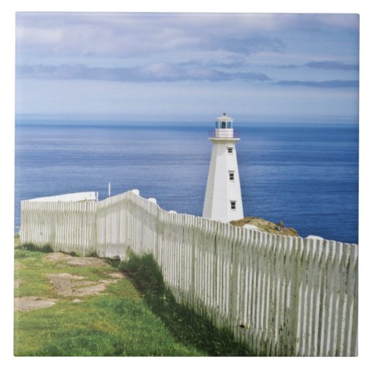 Canada, Newfoundland, Cape Spear National 2 Tegeltje (Voorkant)