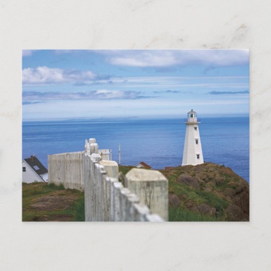 Canada, Newfoundland, Cape Spear National 3 Briefkaart (Voorkant)
