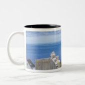 Canada, Newfoundland, Cape Spear National 3 Tweekleurige Koffiemok (Links)