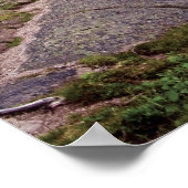 Canada, Newfoundland, Cape Spear National Poster (Hoek)