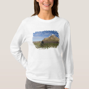 Canada, Newfoundland en Labrador, L'Anse aux 4 T-shirt