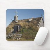 Canada, Newfoundland en Labrador, L'Anse Aux Muismat (Met muis)