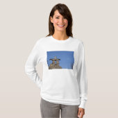Canada, Newfoundland, St. John's. Inukshuk (om T-shirt (Voorkant volledig)