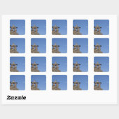 Canada, Newfoundland, St. John's. Inukshuk (om Vierkante Sticker (Vel)
