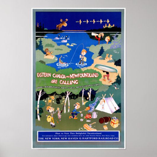 Canada Newfoundland Vintage Travel Poster teruggez (Voorkant)