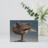 Canada nodigt Canada uit om Canada Goose RSVP aan  Kaart (Staand voorkant)