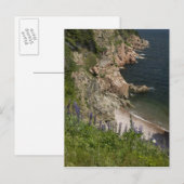 Canada, Nova Scotia, Cape Breton Island, Cabot 3 Briefkaart (Voorkant / Achterkant)