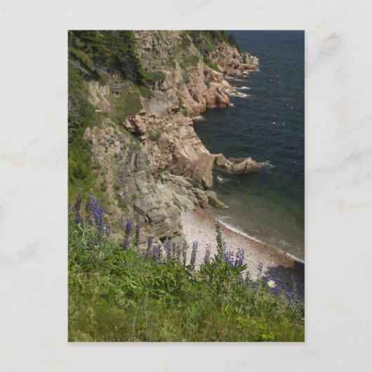 Canada, Nova Scotia, Cape Breton Island, Cabot 3 Briefkaart (Voorkant)