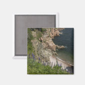 Canada, Nova Scotia, Cape Breton Island, Cabot 3 Magneet (Voorkant / Achterkant)