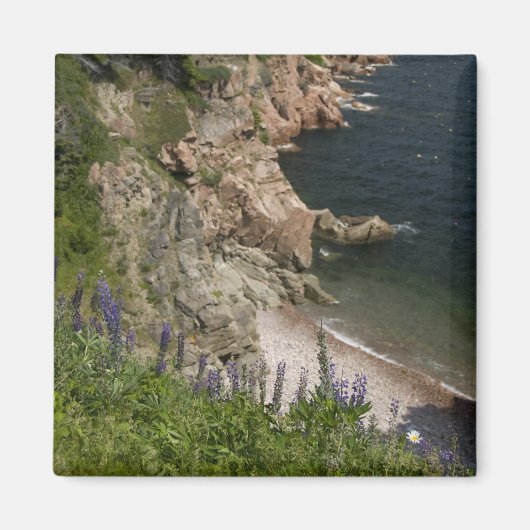 Canada, Nova Scotia, Cape Breton Island, Cabot 3 Magneet (Voorkant)