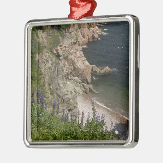 Canada, Nova Scotia, Cape Breton Island, Cabot 3 Metalen Ornament (Links)