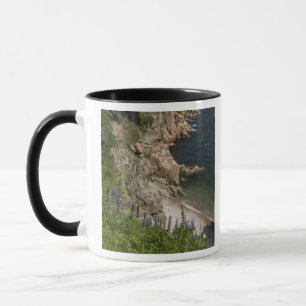 Canada, Nova Scotia, Cape Breton Island, Cabot 3 Mok