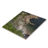 Canada, Nova Scotia, Cape Breton Island, Cabot 3 Tegeltje (Zijkant)