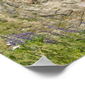 Canada, Nova Scotia, Cape Breton Island, Cabot Poster (Hoek)