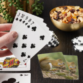 Canada, Nova Scotia, Halifax. Openbare tuinen, Pokerkaarten (Insitu)