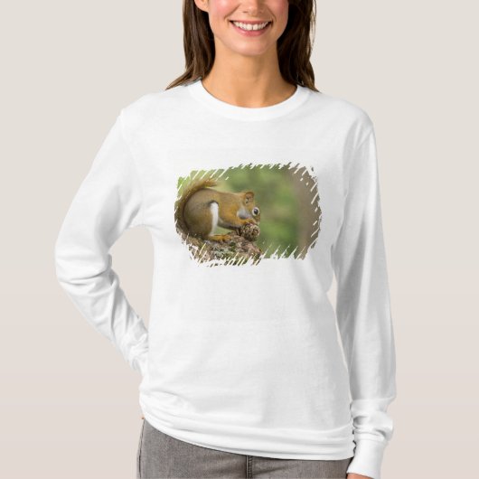 Canada, Nova Scotia, Halifax. Openbare tuinen, T-shirt (Voorkant)