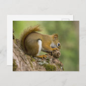 Canada, Nova Scotia, Halifax. Publieke tuinen Briefkaart (Voorkant / Achterkant)