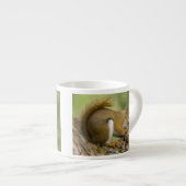 Canada, Nova Scotia, Halifax. Publieke tuinen Espresso Kop (Voorkant rechts)