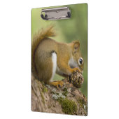 Canada, Nova Scotia, Halifax. Publieke tuinen Klembord (Links)