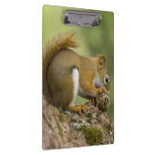 Canada, Nova Scotia, Halifax. Publieke tuinen Klembord (Rechts)