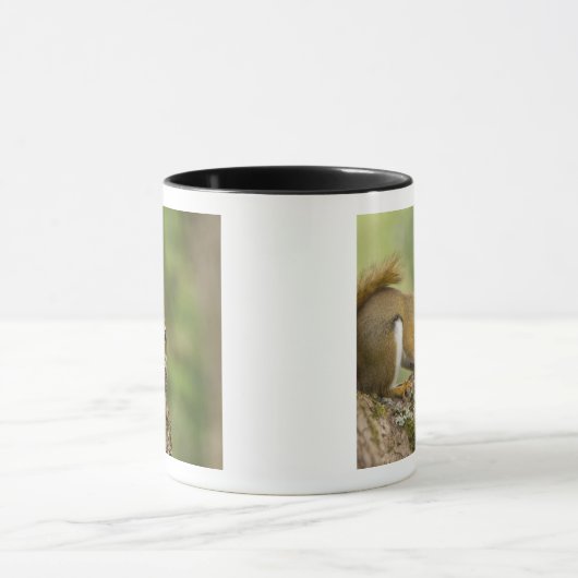 Canada, Nova Scotia, Halifax. Publieke tuinen Mok (Midden)