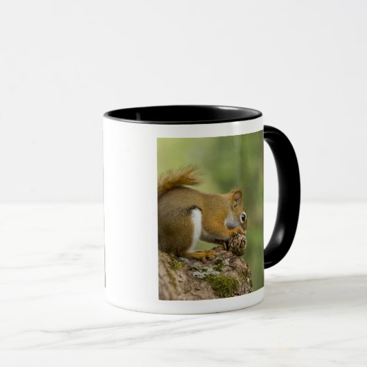 Canada, Nova Scotia, Halifax. Publieke tuinen Mok (Voorkant rechts)