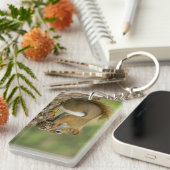 Canada, Nova Scotia, Halifax. Publieke tuinen Sleutelhanger (Voorkant Rechts)