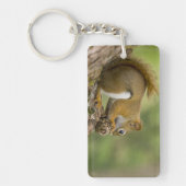 Canada, Nova Scotia, Halifax. Publieke tuinen Sleutelhanger (Voorkant)