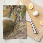 Canada, Nova Scotia, Halifax. Publieke tuinen Theedoek (Quarter Fold)