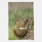 Canada, Nova Scotia, Halifax. Publieke tuinen Theedoek (Verticaal)