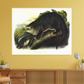 Canada Otter (Otter) - Quadrupeds van Audubon Canvas Afdruk (Insitu (Woonkamer))