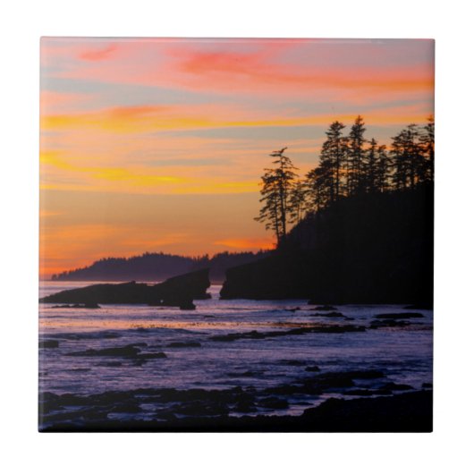 Canada, Pacific Rim National Park Reserve, West Tegeltje (Voorkant)